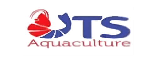 Salinan dari Logo UTS